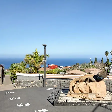 Летний дом Dragomar